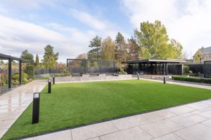 Photo 24- click for photo gallery